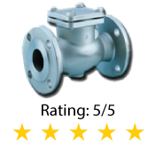 Flanged Check Valve 300